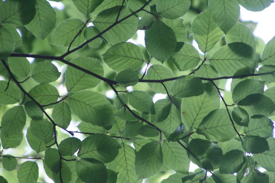 A Truly Green Electric Grid Will Need Very Big Batteries
