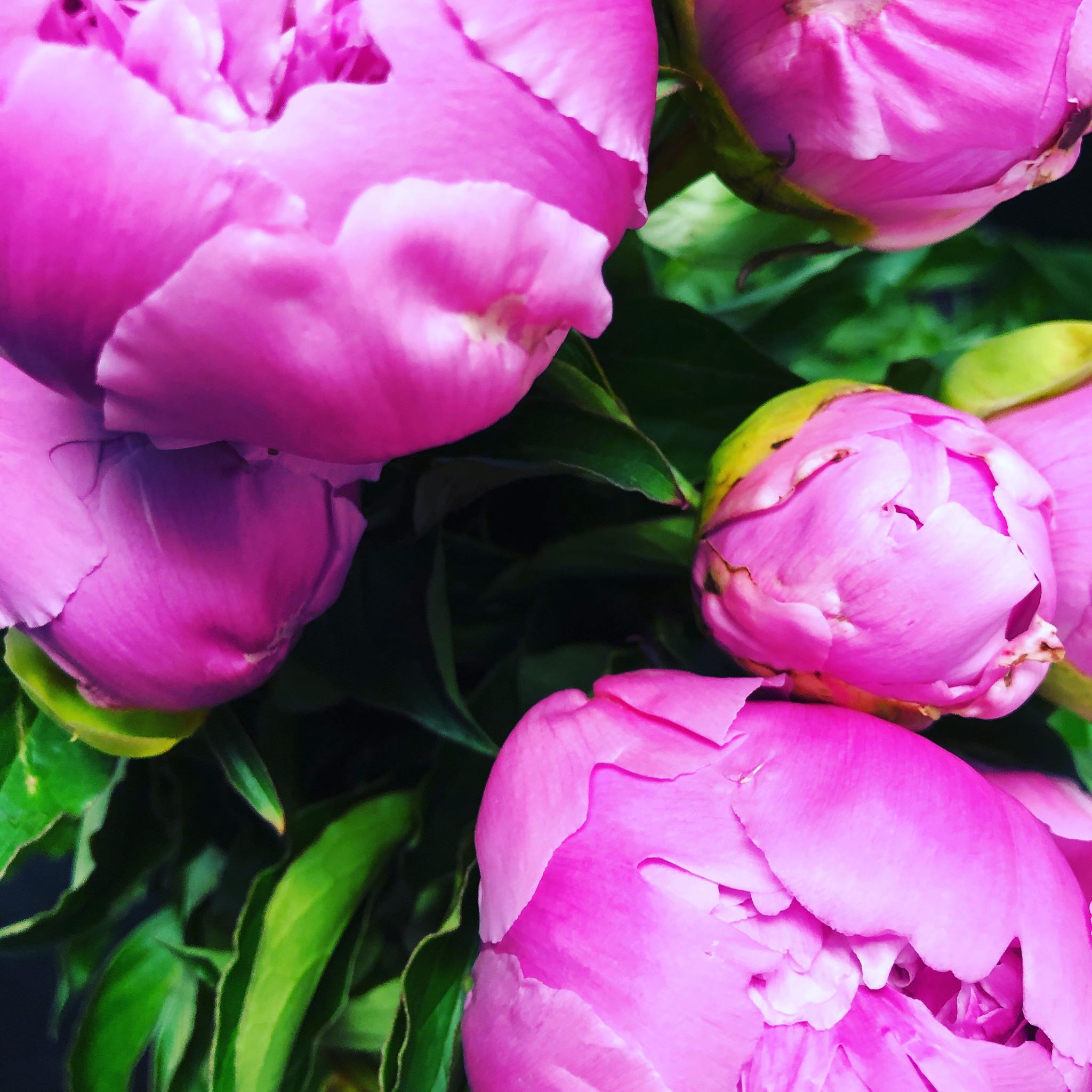 Flower Delivery Maine Florist, Rockland Flower Delivery