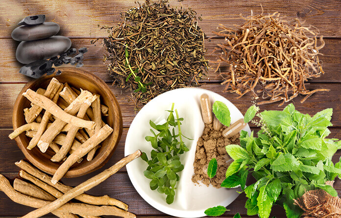 Benefits of Kratom In Everyday Life